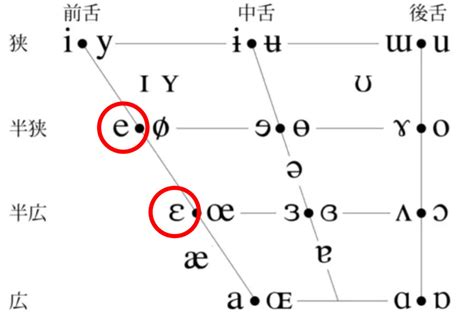 myrtleの発音記号と読み方 .
